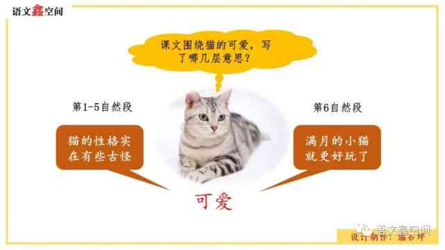 仿写小猫作文：二年级至三年级下册300-500字