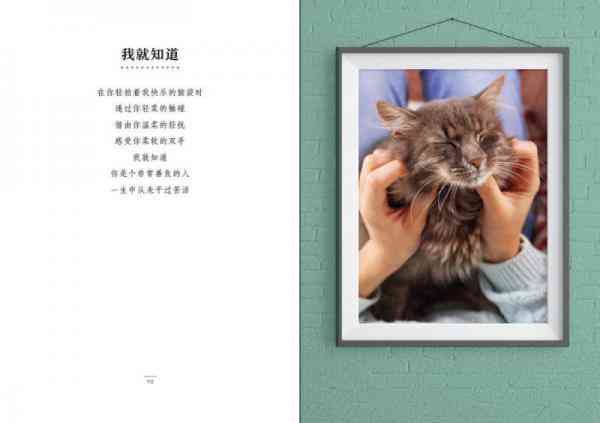 喵星诗人：小猫创意诗歌创作记