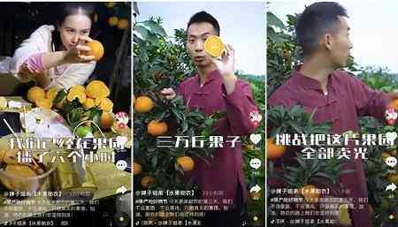 文案接单：热门平台及接单渠道汇总，价格一览指南