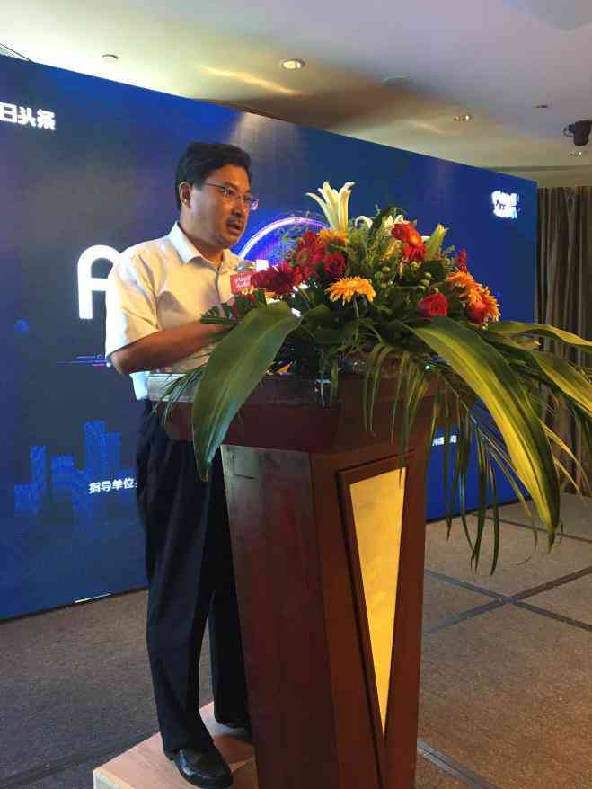 引领未来：中国AI大数据企业的创新与发展之路