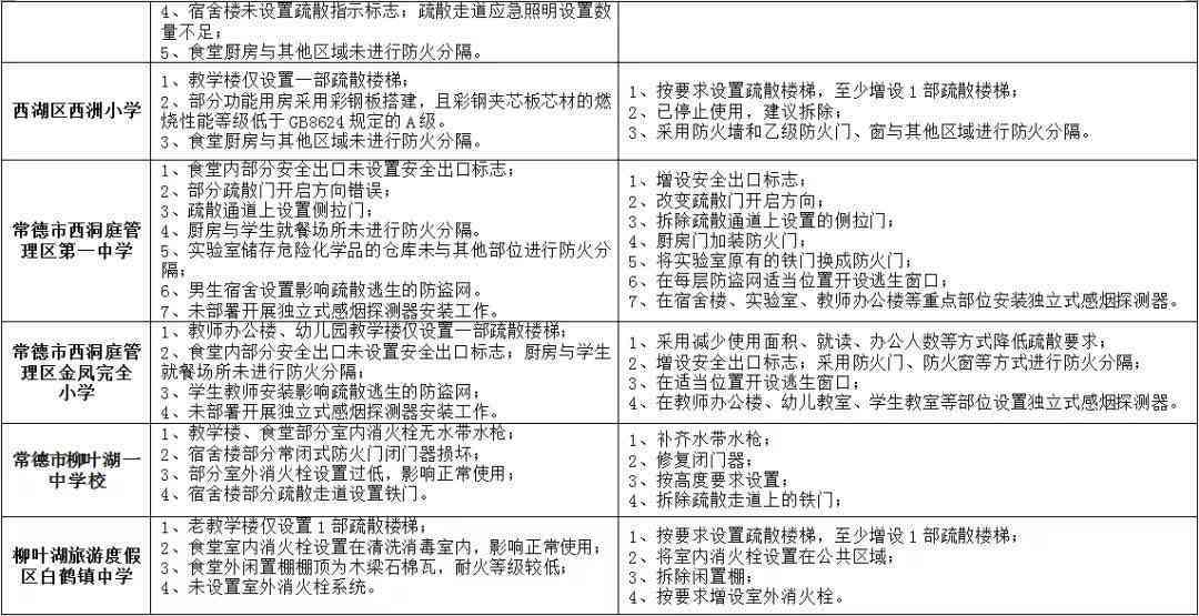 校园安全隐患排查与策略分析报告