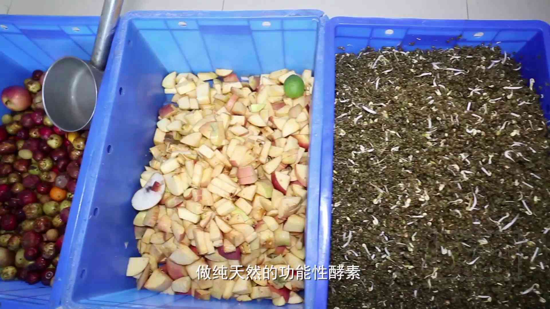关于豆芽作文怎么说：如何写600字优秀豆芽主题作文