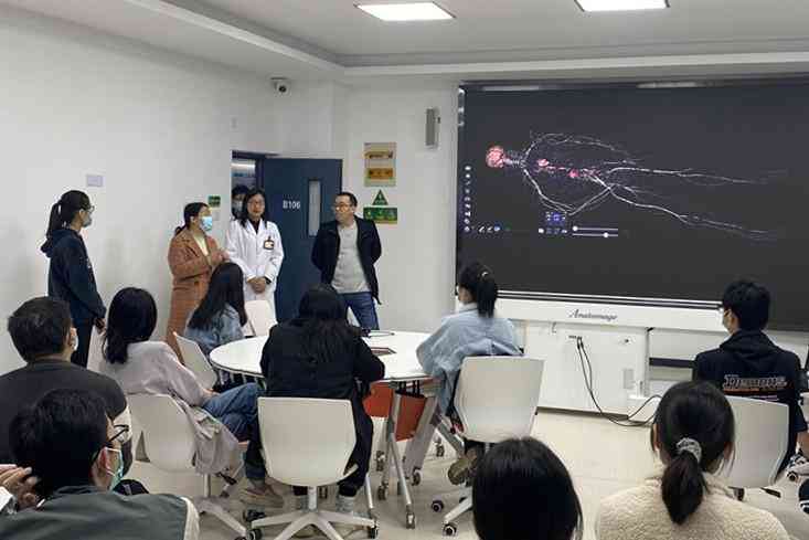 人工智能赋能医疗行业：结构化AI医疗报告范文与成效分析
