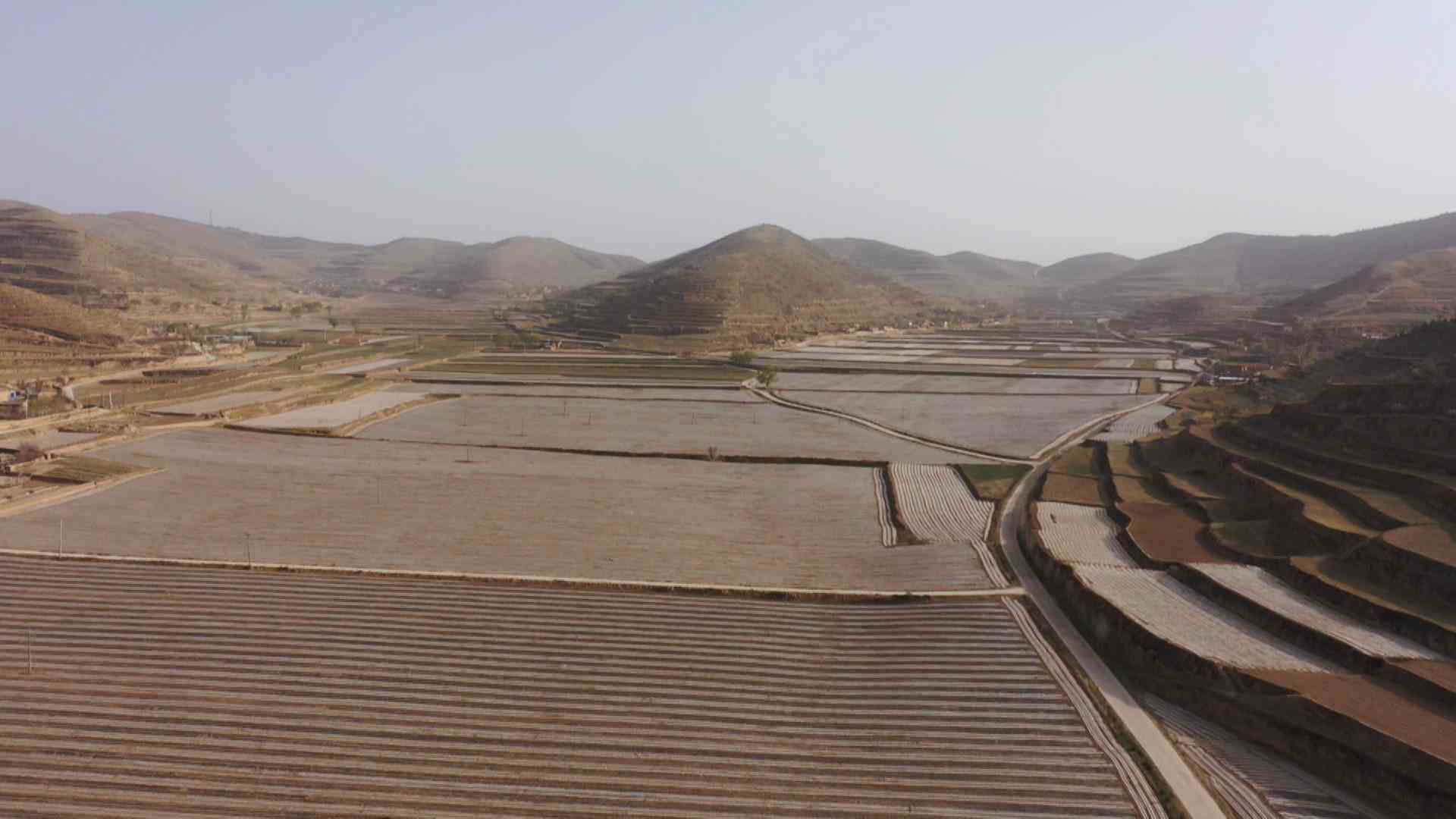 人工智能赋能医疗行业：结构化AI医疗报告范文与成效分析