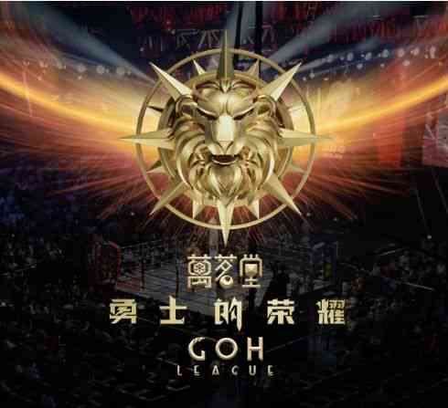 逆袭之星：黑马IT精英的崛起之路
