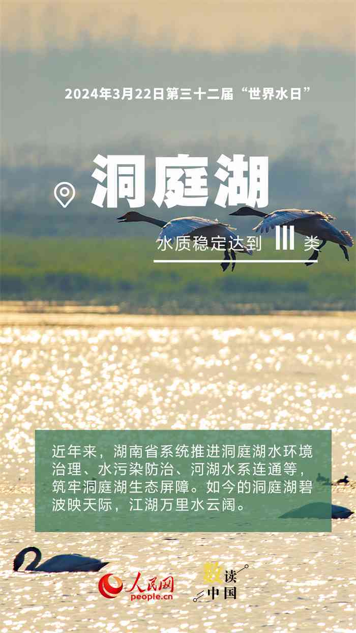 美景之恋：精选情感文案集锦
