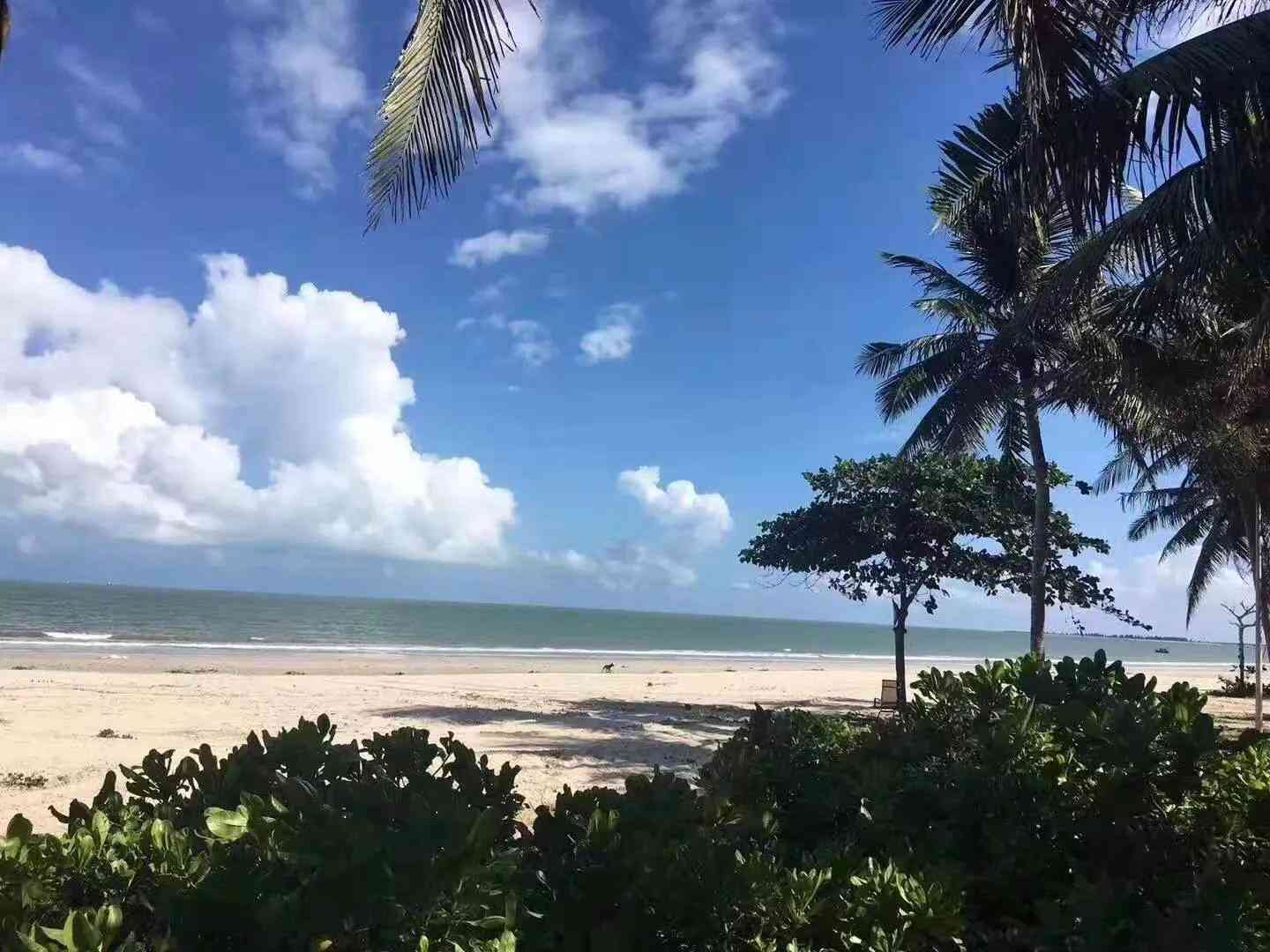 美景文案短句：自然与夜晚，三亚山间之美汇总