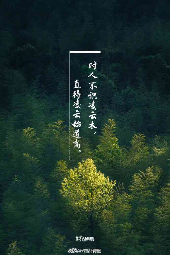 诗意文案描绘绝美景色