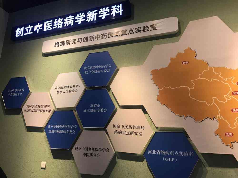 AI实验结果及总结：报告撰写与成果概述