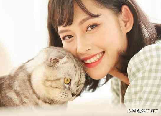 写作猫免费版ai写作软件：与功能介绍-写作猫官网下载
