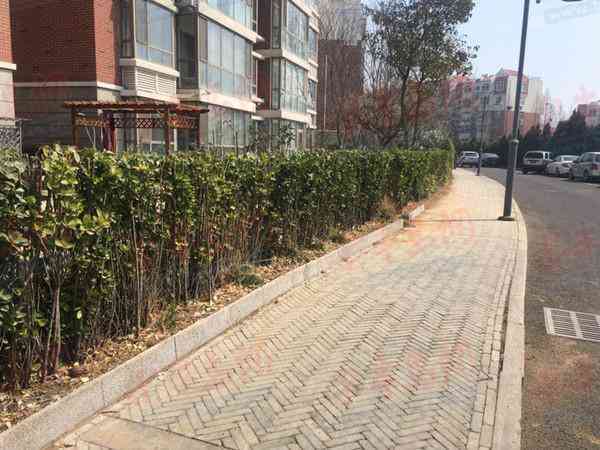 AI创作山水风景文案攻略：全面涵写作技巧与用户搜索痛点解析