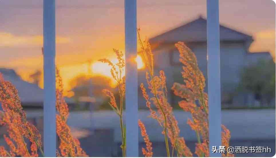 山水风景文案短句：高级感合集，干净治愈伤感与心灵短语