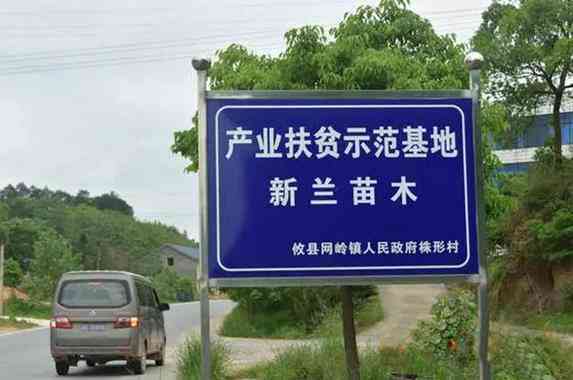 '融入关键词的信息流广告创意脚本模板大全'