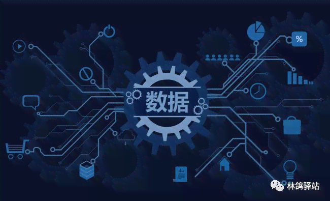 智能AI赋能：大数据分析与深度洞察新元