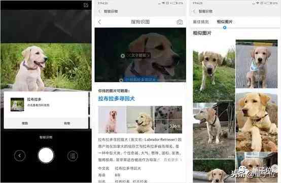 如何启用搜狗AI智能功能，轻松掌握开启步骤