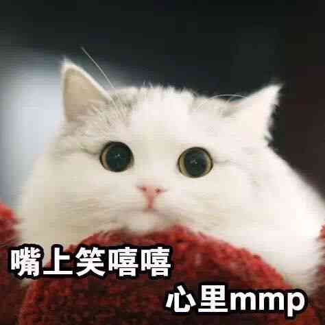 猫咪魔法表情包：趣味满满，瞬间吸睛