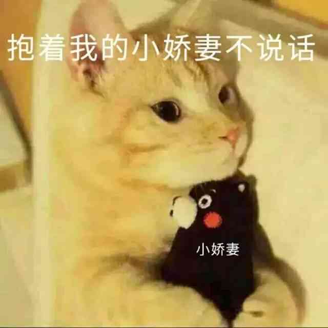 猫咪魔法表情包：趣味满满，瞬间吸睛