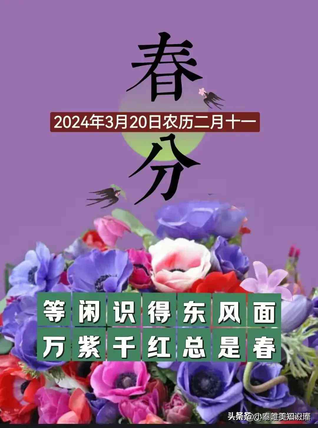 全面评测：2024年度抖音文案AI生成软件盘点，满足各种创作需求