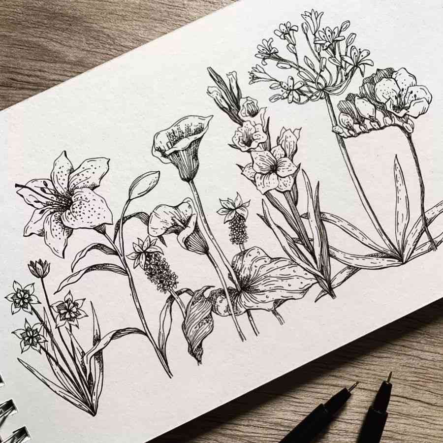 花海绘画素材：铅笔高清手绘素材集