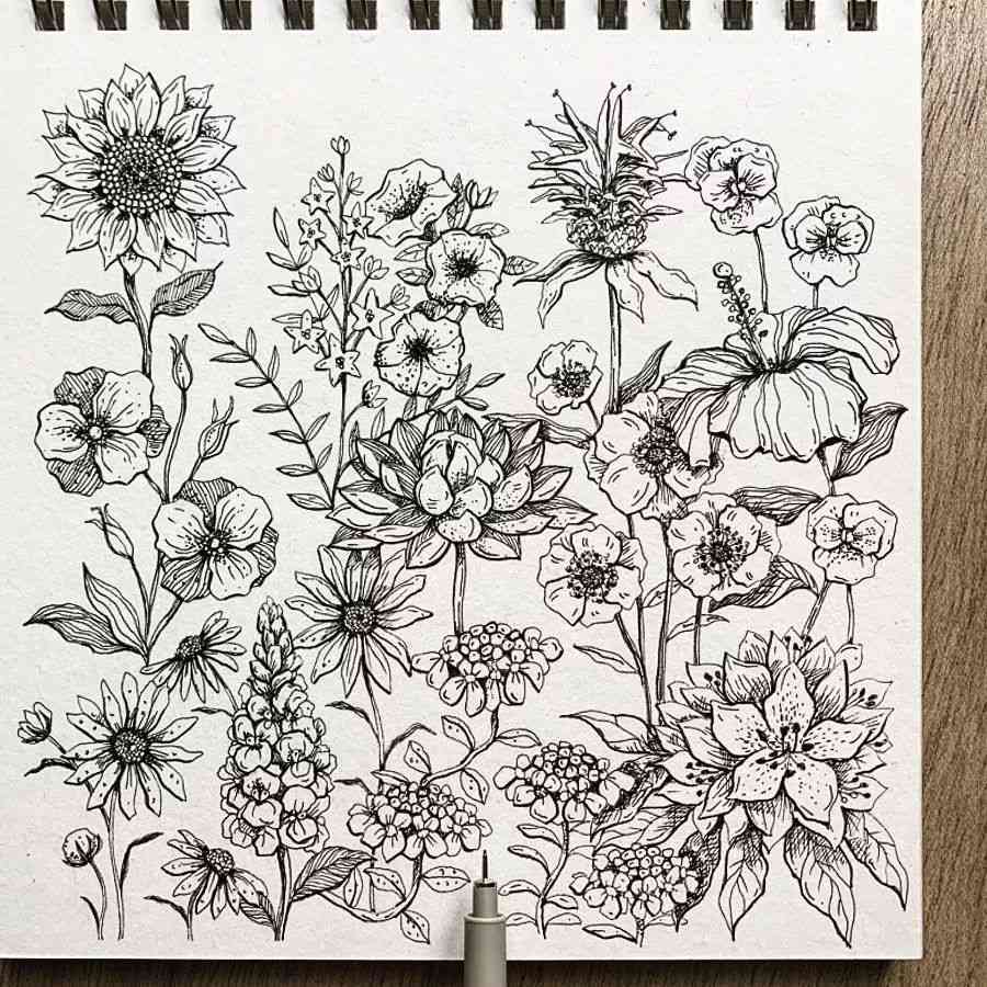 花海绘画素材：铅笔高清手绘素材集