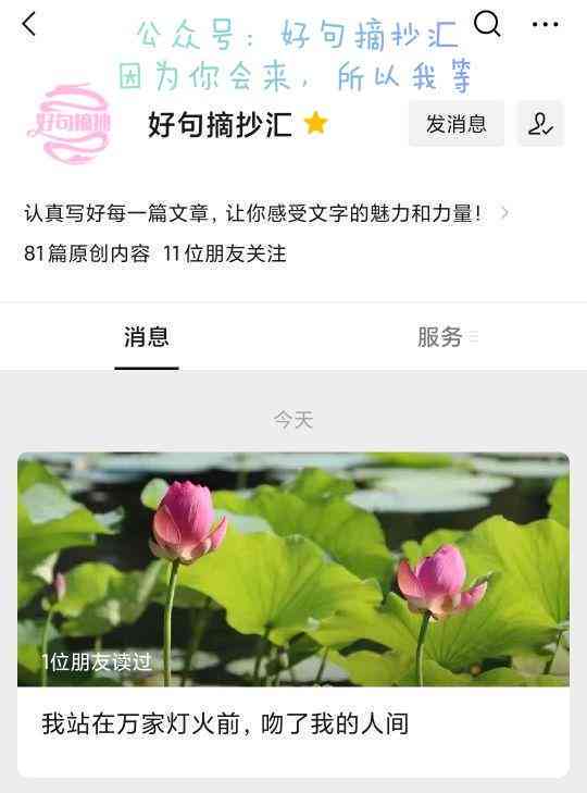 免费优质文案资源集散站：一键获取创意文案宝藏