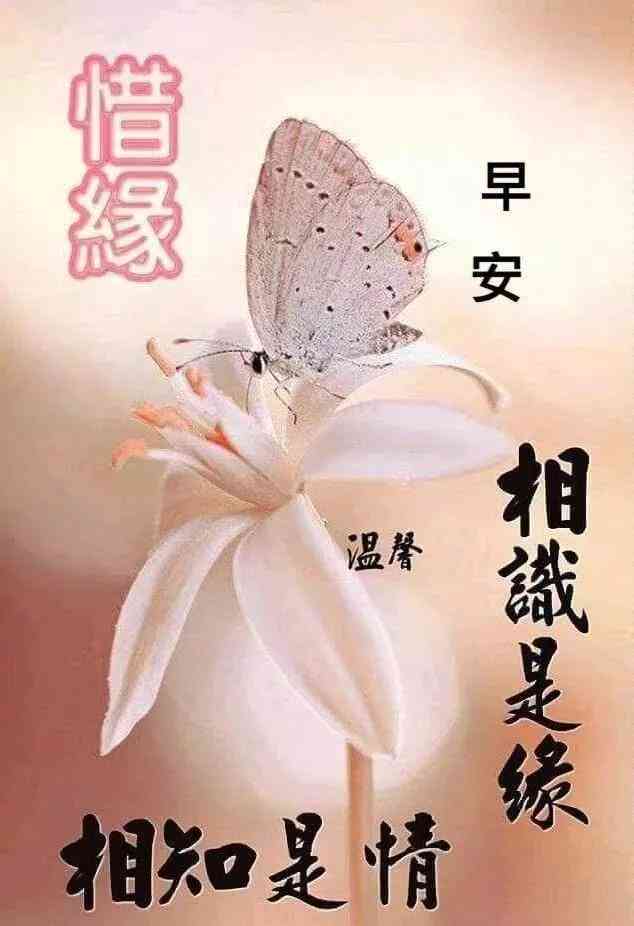 创新驱动下的高效激励模式文案策划与实践