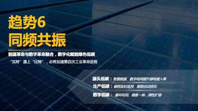 探秘神码科技：揭秘这家创新企业的业务领域与成就