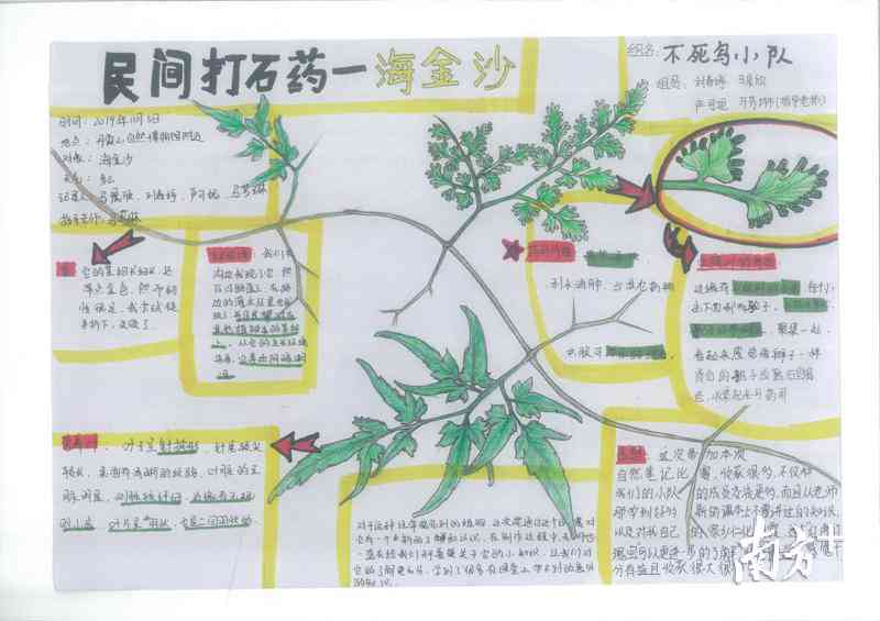 智能科普文章写作助手：AI软件一键生成专业内容，解决创作难题