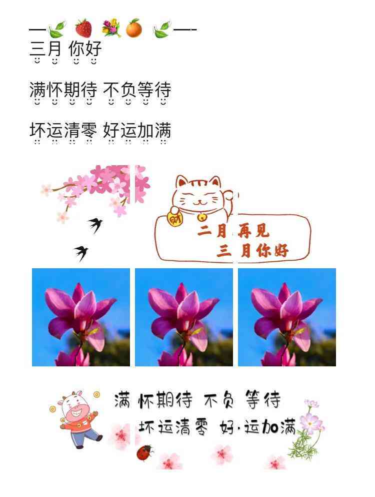 探寻优质解说文案素材：一键搜索与高效获取攻略