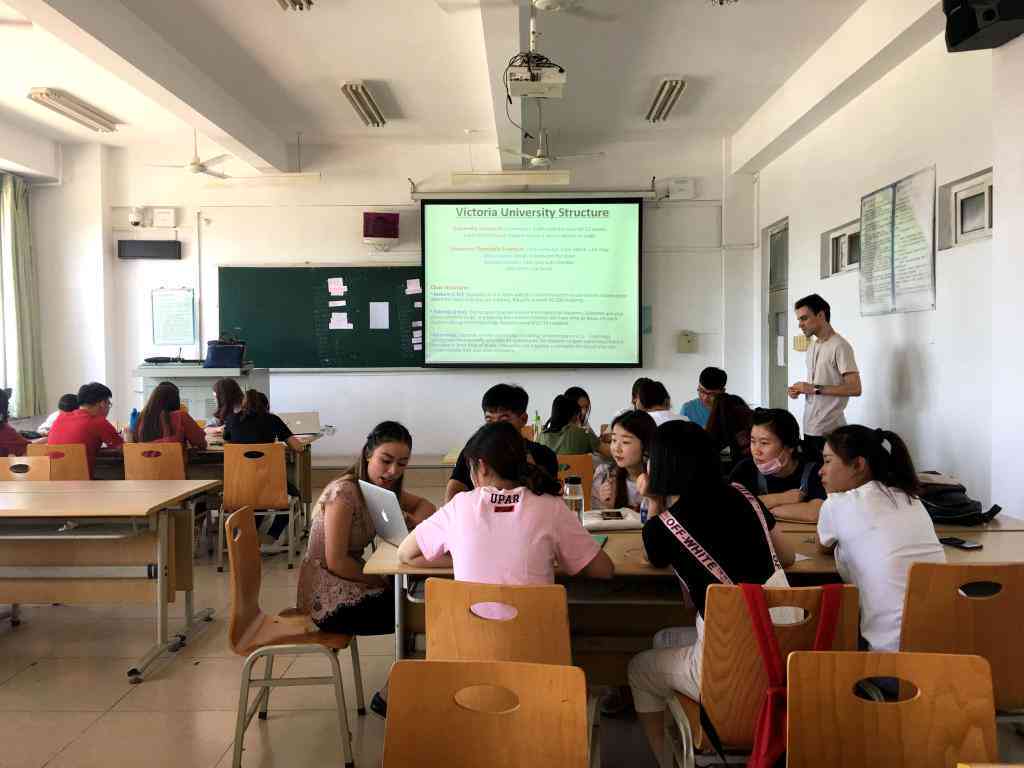 专业英文交流医疗专家：精通跨文化医疗沟通的医生