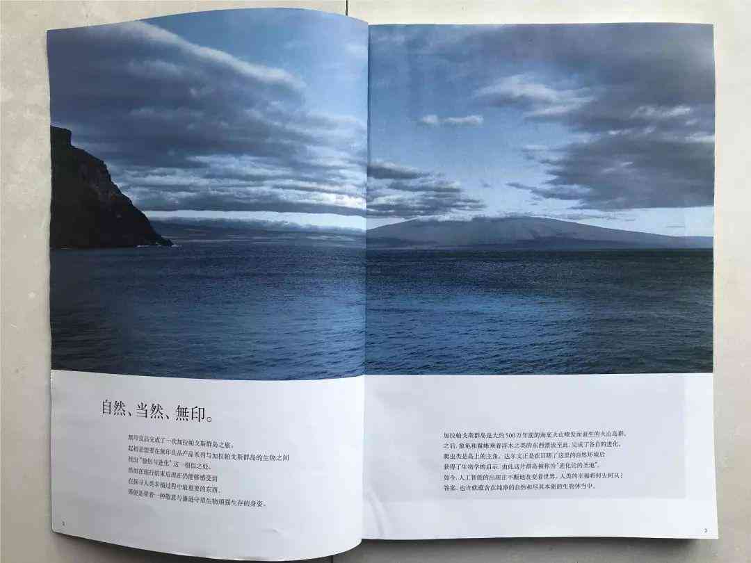 ai汽车降价文案怎么写好：撰写吸引眼球的策略指南