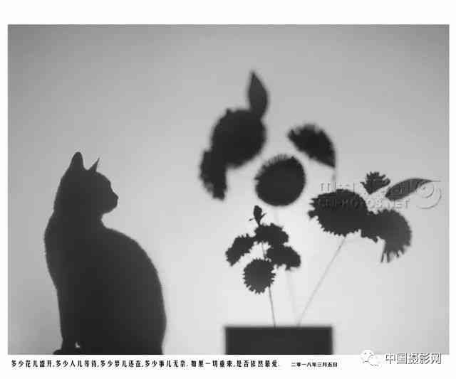 探索AI艺术新境界：异影同构AI作画教程解析