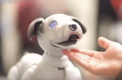 人工智能编程入门：手把手教你编写AI代码实战指南