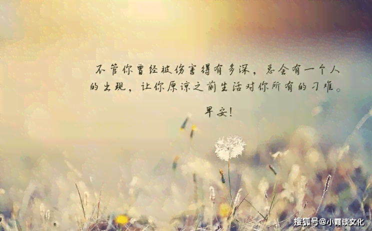 精选赞美爱情的经典句子与表达：全面涵浪漫、馨、深情等多种情感描述