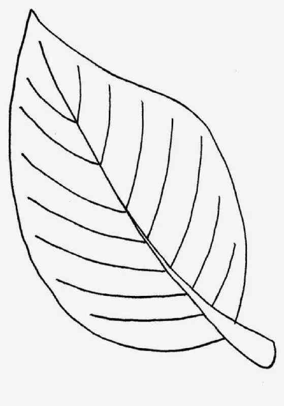 妈妈教孩子做作业的简笔画：步骤详解与亲子互动指南