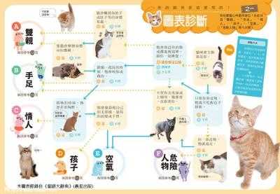全方位解读：小猫咪的行为、性及护理秘诀