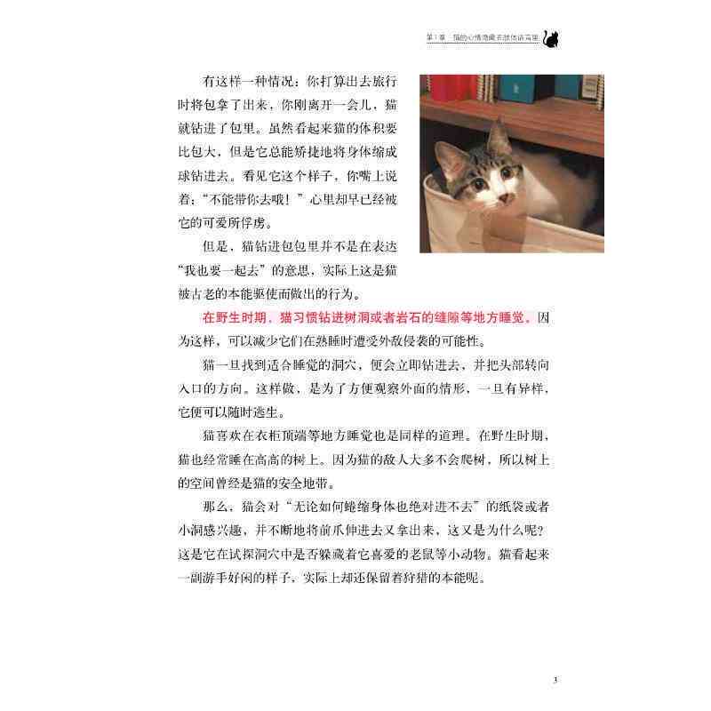 探索小猫的独特文字世界：猫咪的秘密语言解读