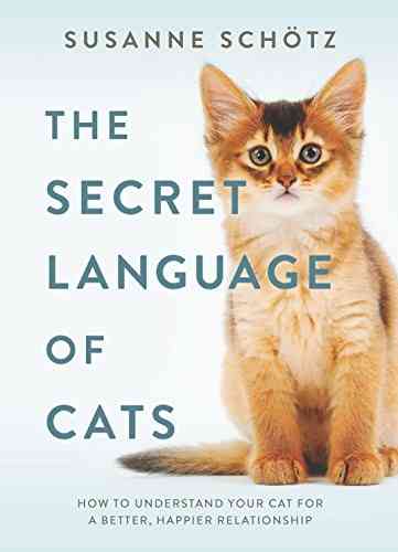 探索小猫的独特文字世界：猫咪的秘密语言解读