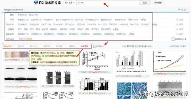 知网写作助手对查重有影响吗：安全性与提示作用解析及查重写作助手意义评估