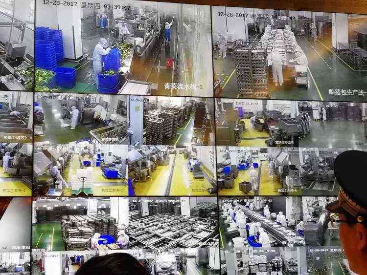 人工智能调研过程记录：撰写指南、记录表、范文及报告示例