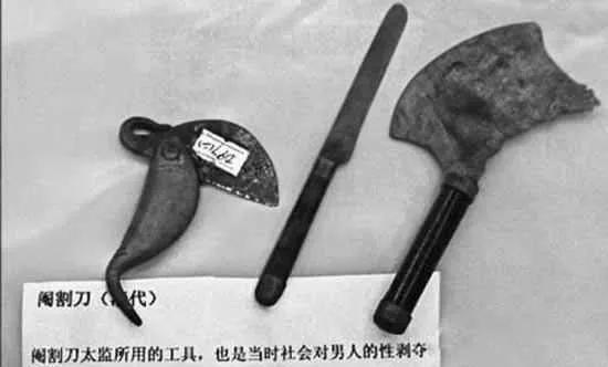 免费在线写作与分享平台：激发创意，展现才华