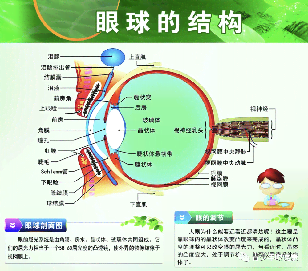 全面解析：如何高效创作吸引眼球的头条文章，涵热门话题与用户痛点