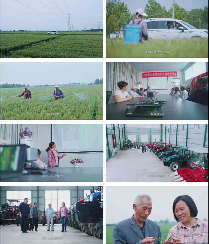 '智能AI赋能：高效文案创作助手'
