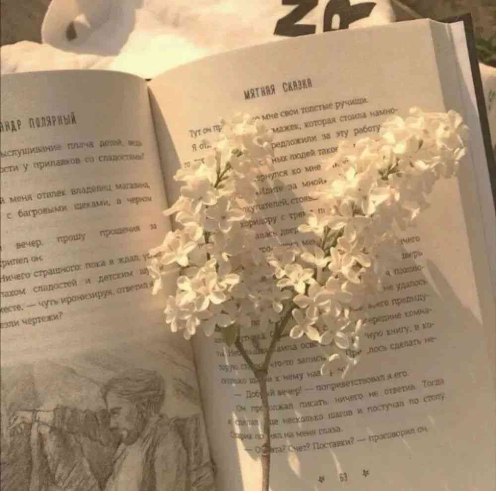 nnAI头像定制推广文案：撰写与传策略全攻略及创意传语