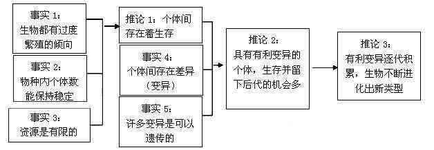 '自然选择机制探究：模拟生物进化实验研究报告'