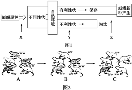 '自然选择机制探究：模拟生物进化实验研究报告'