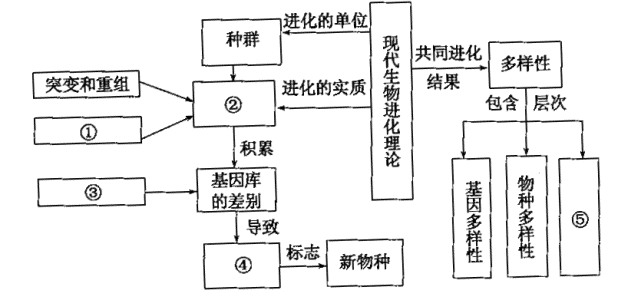 '自然选择机制探究：模拟生物进化实验研究报告'
