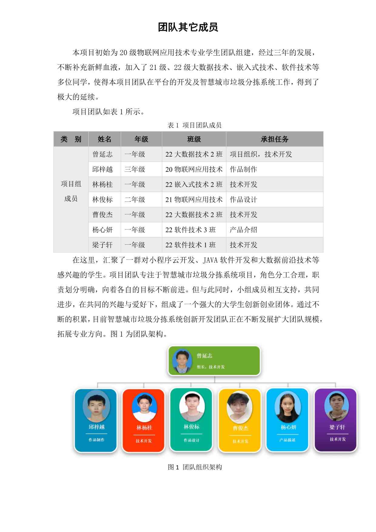 IT团队介绍：团队名称、分工与队名详解