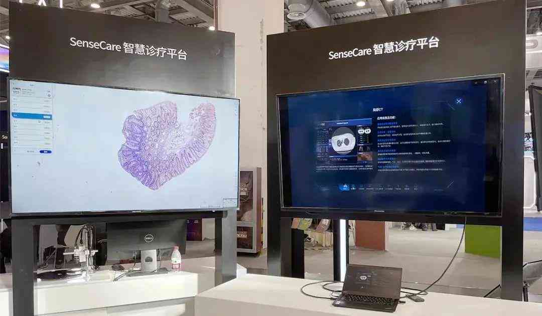 ai研发公司研究现状：国内外上市公司分析