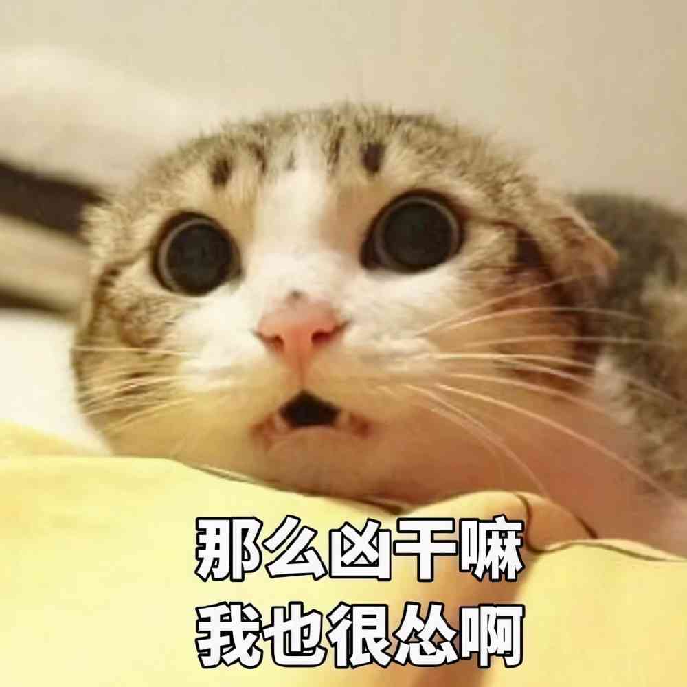 晒猫咪的文案：短句干净治愈、简短、搞笑写作指南
